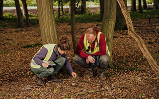 at-Work-Slider-320x200px-No2